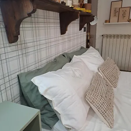 Musa Paradisiaca 5 *