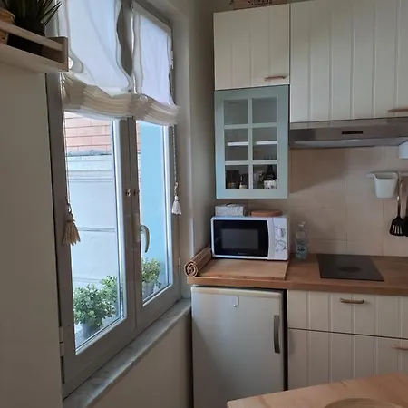 Musa Paradisiaca 5 *